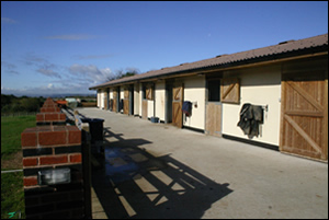 Livery at Street Ralegh Farm